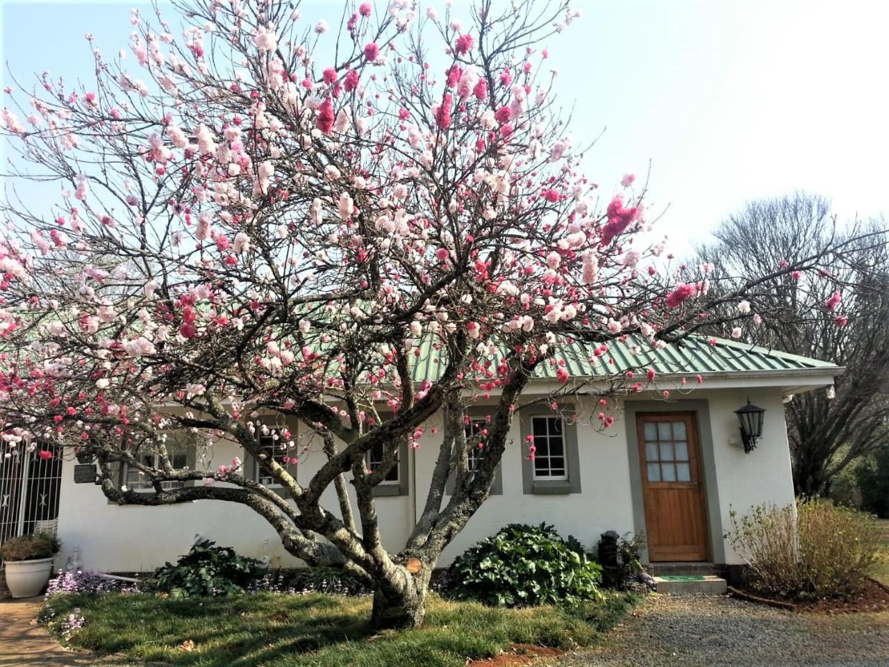 Sani Window B&B And Self Catering Underberg Esterno foto